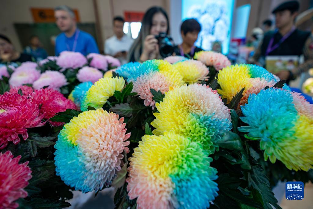 博越娱乐平台登录地址